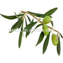 Оливковое oleuroprin листьев 6% 12% 15% 20% 35% и т. д.